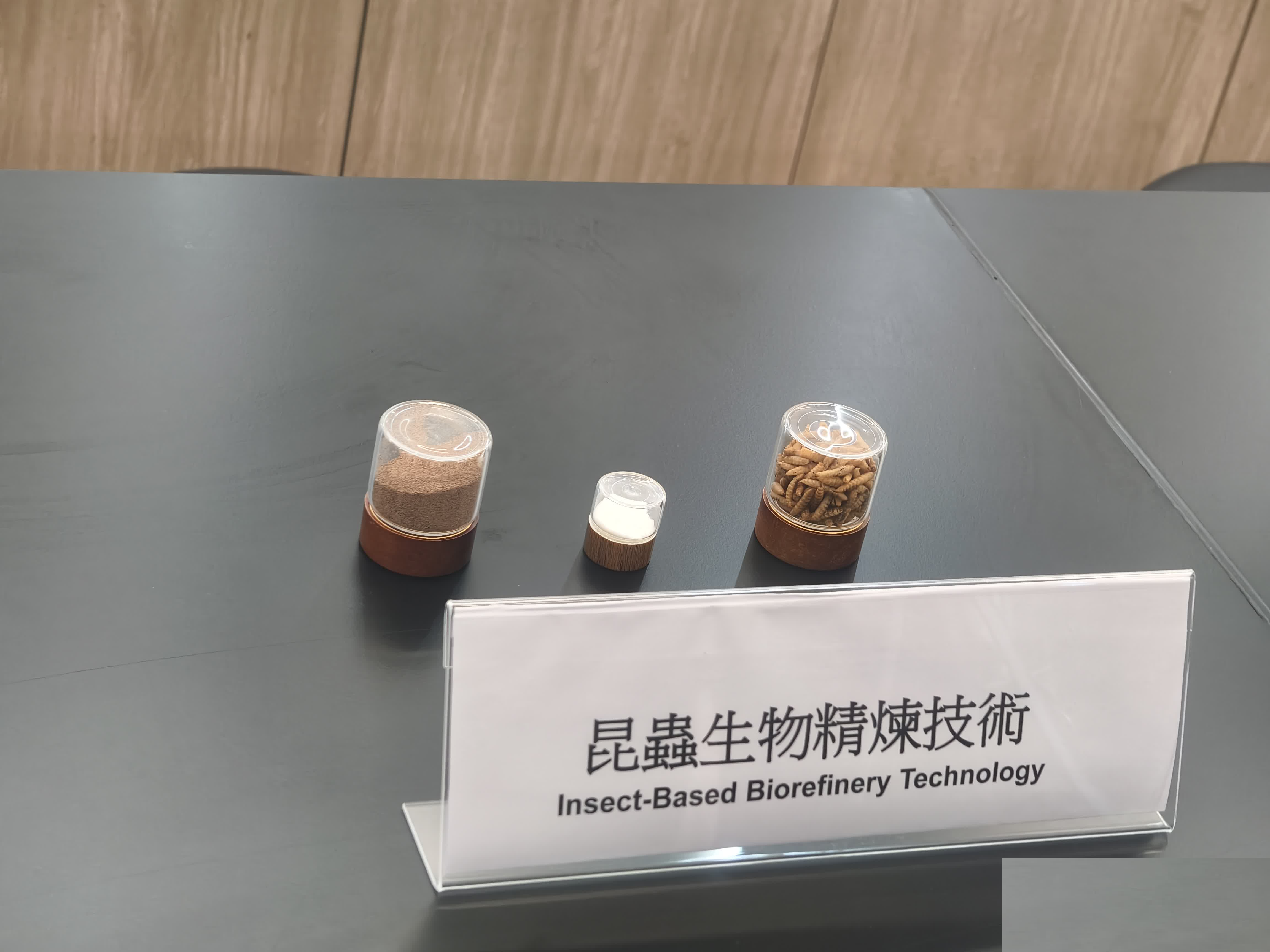 Photo_2-2