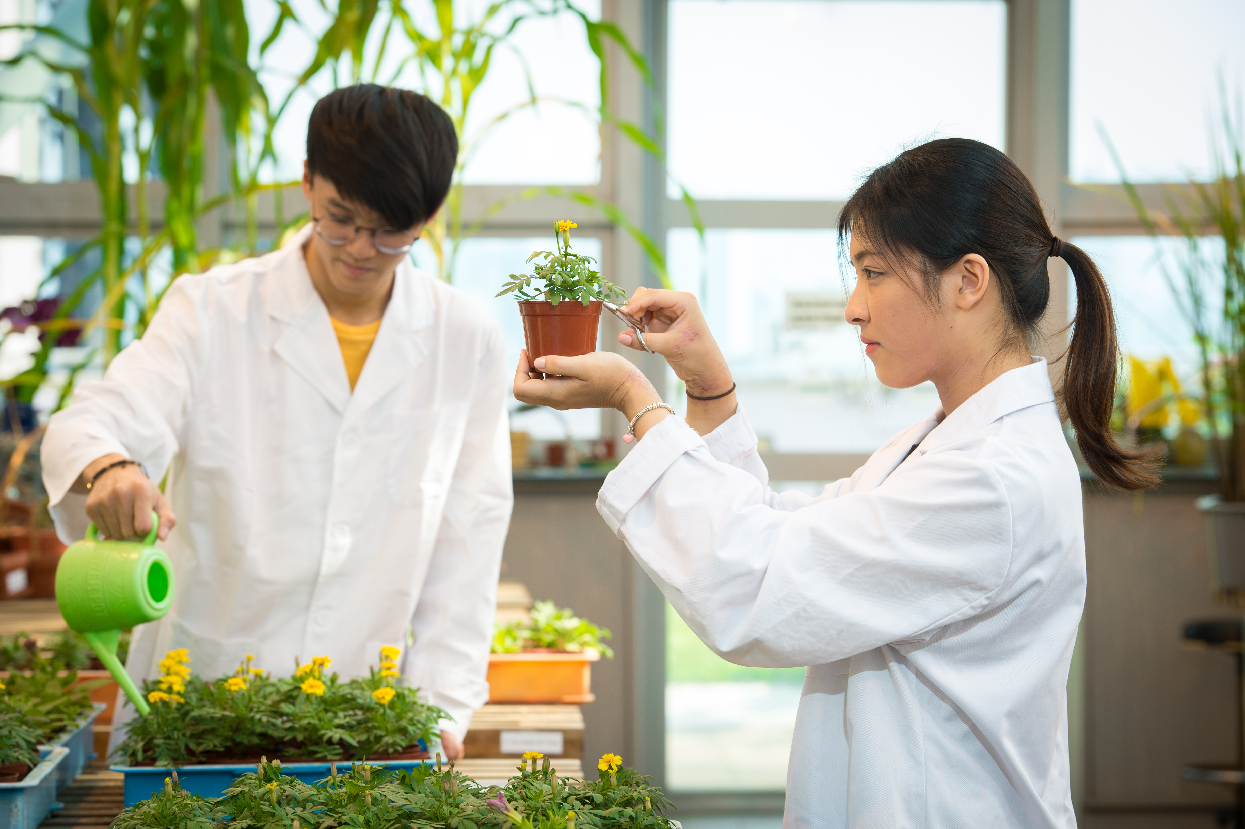 bioresource-and-agricultural-science